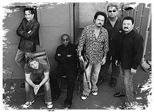 20061223012430-toto2006.gif